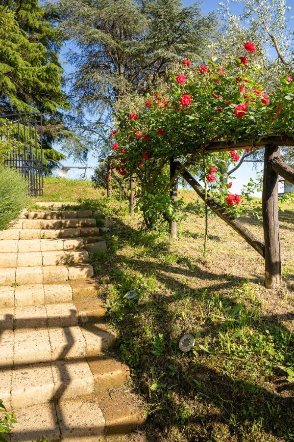 Agriturismo Bellandi Santa Lucia  Εξωτερικό φωτογραφία